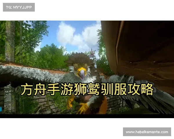驯服狮鹫的核心技巧与专家解析揭秘训练方法和关键步骤 驯服狮鹫的核心技巧与专家解析揭秘训练方法和关键步骤