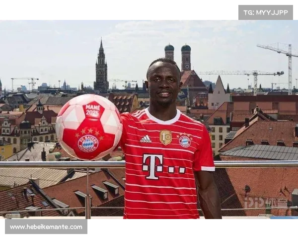 拜仁马内回归的五大关键因素解析与前景展望