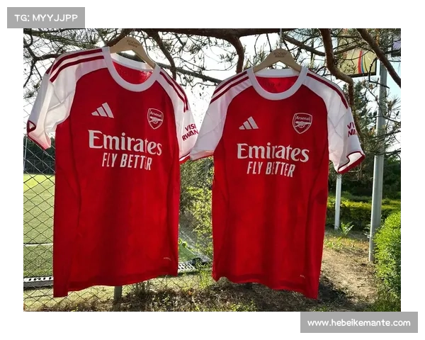 探寻阿森纳队徽红色背后蕴藏的百年奋斗精神与荣耀传承史辉煌篇章