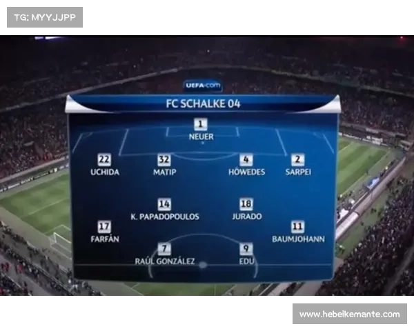 法尔范在沙尔克04的最佳位置与战术作用分析