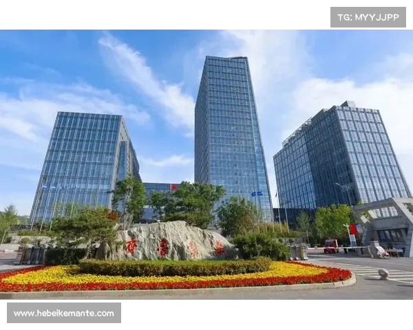 如何通过分析竞争力与创新能力预测药厂晋级8强的可能性