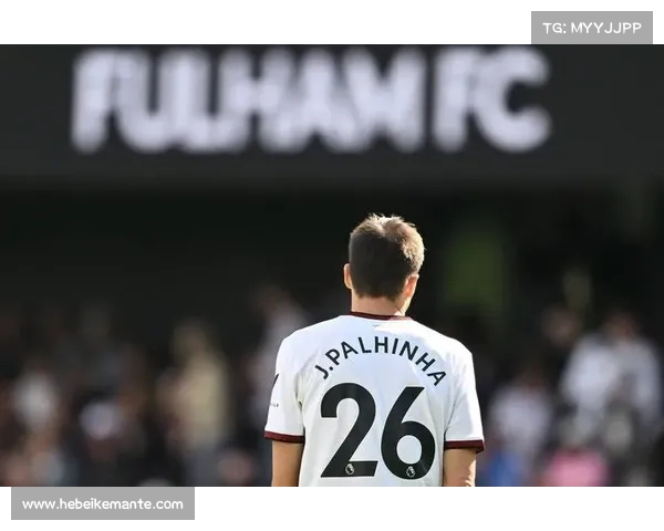 帕利尼亚：从渴望到现实的冬窗之约