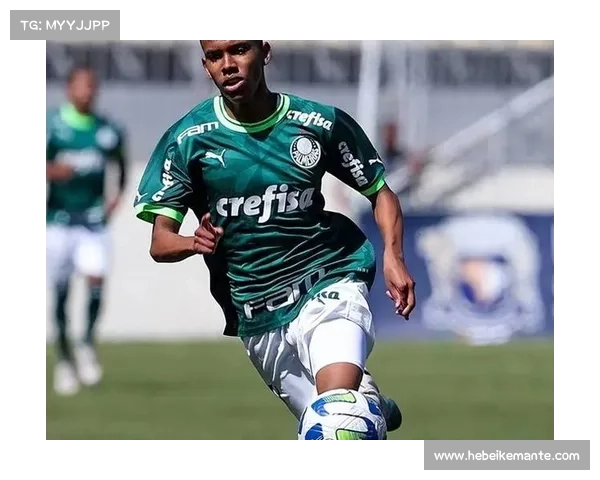 恩瓦内里：足球场上的闪耀新星与未来的无限希望