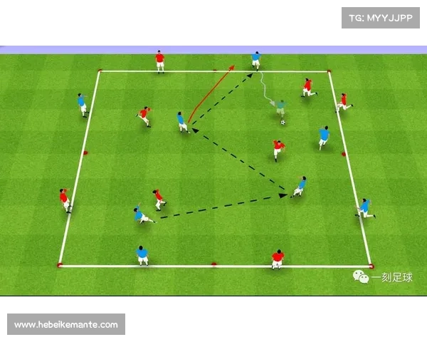 意大利足球联赛中韩国球员的崛起与影响力分析